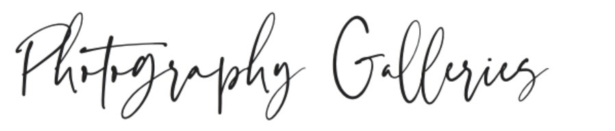 Photography Galleries